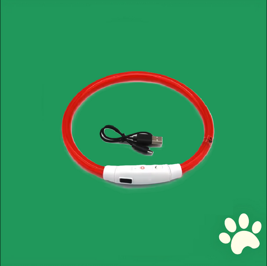 SafeGlow™ - Collier lumineux LED rechargeable